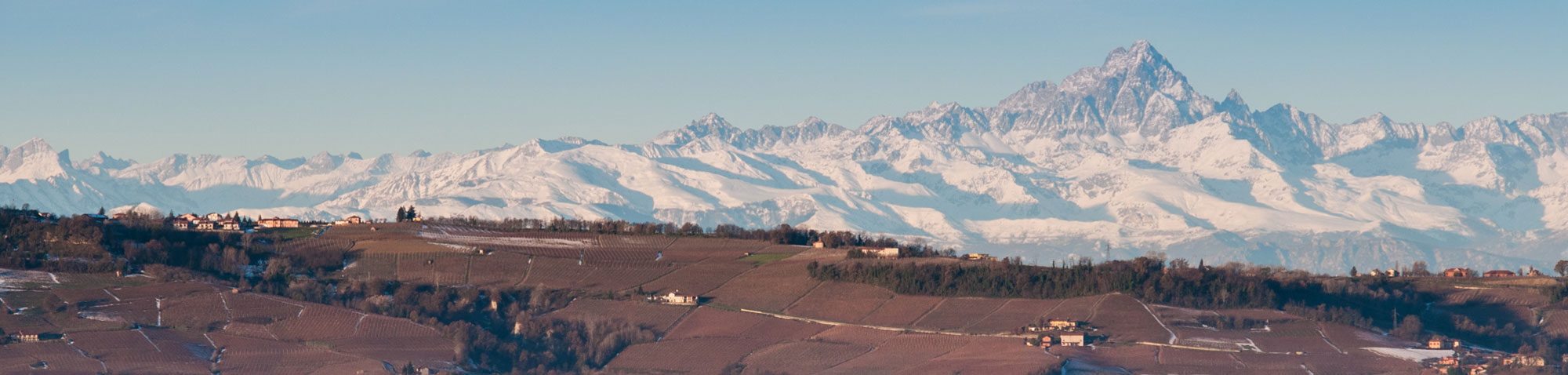 Area di produzione